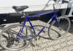 Die Auktionshalle Berlin – Hausrat – 07/10/2026